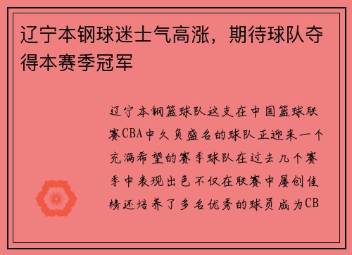 辽宁本钢球迷士气高涨，期待球队夺得本赛季冠军